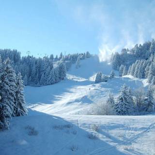 1280x720 winter wallpaper