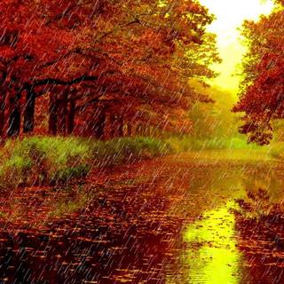 Red autumn park wallpaper