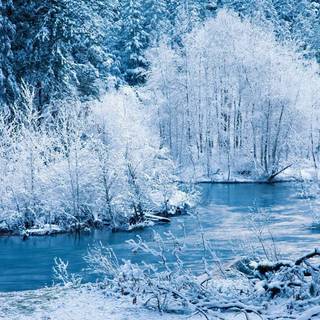 Landscapes winter wallpaper