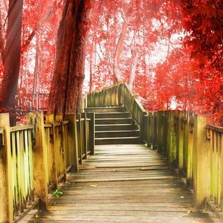 Red autumn park wallpaper