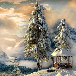 1280x720 winter wallpaper
