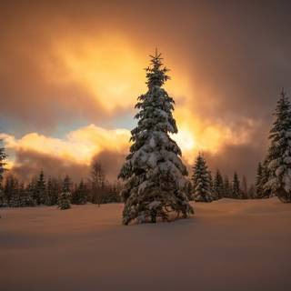 1280x720 winter wallpaper