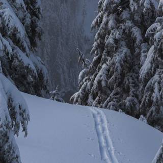 1280x720 winter wallpaper