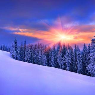 1280x720 winter wallpaper