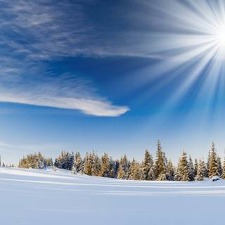 1280x720 winter wallpaper