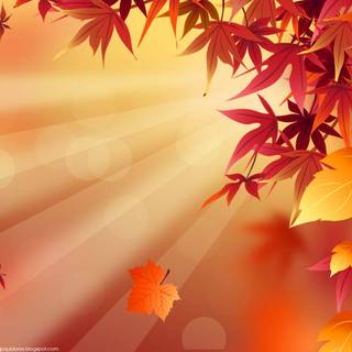 Autumn leaves HD desktop wallpaper