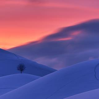 1280x720 winter wallpaper