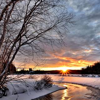 Landscapes winter wallpaper