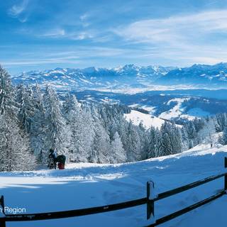 Landscapes winter wallpaper