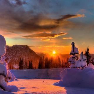 1280x720 winter wallpaper