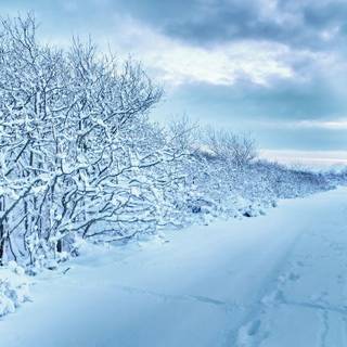 1280x720 winter wallpaper