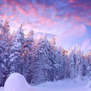 1280x720 winter wallpaper