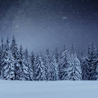1280x720 winter wallpaper