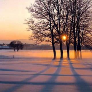 1280x720 winter wallpaper