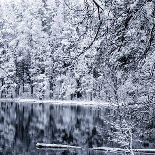 1280x720 winter wallpaper