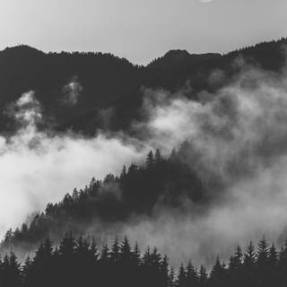 White iPhone 4k wallpaper