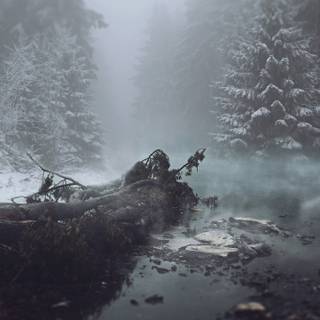 1280x720 winter wallpaper