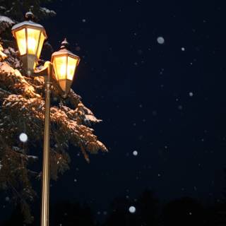Street lamp 4k wallpaper
