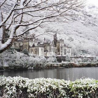 Winter Ireland wallpaper