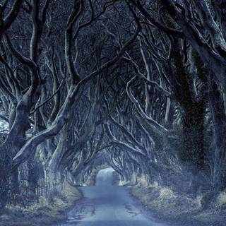 Winter Ireland wallpaper