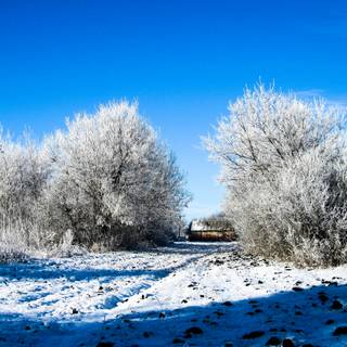 Winter Ireland wallpaper