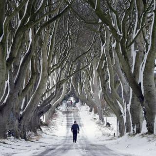 Winter Ireland wallpaper