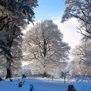 Winter Ireland wallpaper