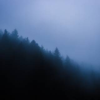 Night fog 4k wallpaper
