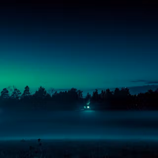 Night fog 4k wallpaper
