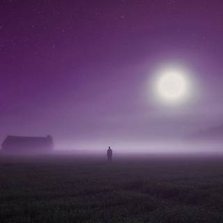 Night fog 4k wallpaper