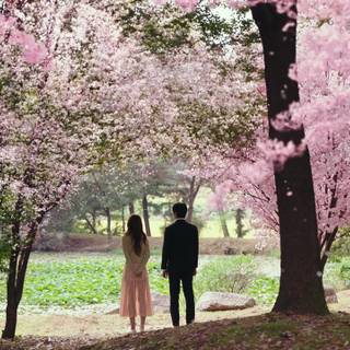 See You In My 19th Life wallpaper