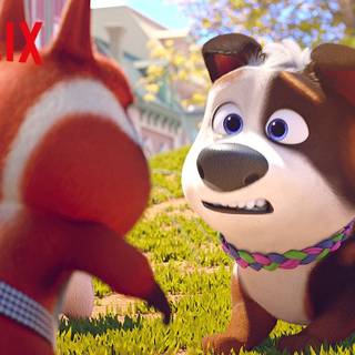 Dog Gone Trouble Netflix wallpaper