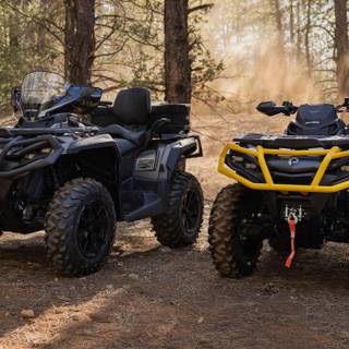 Can Am 850 wallpaper