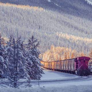 Winter trains wallpaper