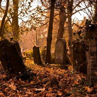 Halloween graveyard PC wallpaper