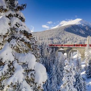 Winter trains wallpaper
