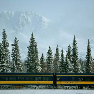 Winter trains wallpaper