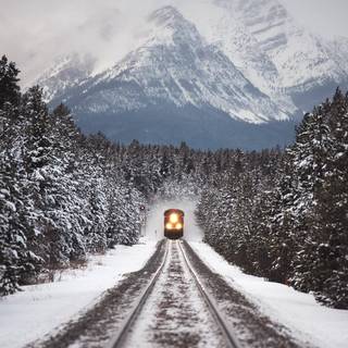 Winter trains wallpaper