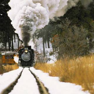 Winter trains wallpaper