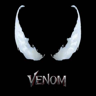 Dark Venom 4k wallpaper