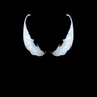 Dark Venom 4k wallpaper