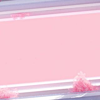 Pink simple 4k wallpaper