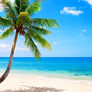 Beach 4k Ultra HD wallpaper