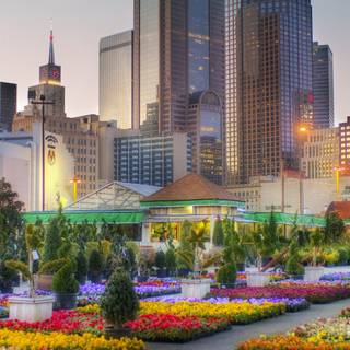 Dallas desktop wallpaper