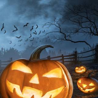 Halloween 1440x2560 wallpaper