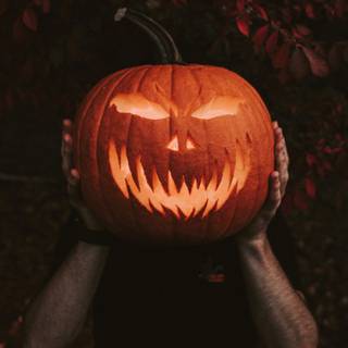 Halloween 1440x2560 wallpaper