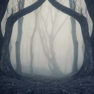 Dark forest Halloween wallpaper
