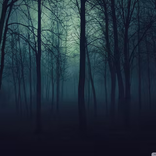 Dark forest Halloween wallpaper