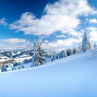 Winter 1680x1050 wallpaper