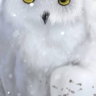 Owl winter wallpaper